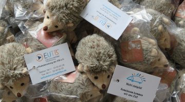 Viele Stoffigel mit Kärtchen: Das EUTB-Angebot schreibt dazu: Unser give away, die Stoff Igel warten schon auf die Stände, wo Sie an Ratsuchende mit anhängender Visitenkarte mit der Adresse der EUTB Wiesbaden und dem Slogan „Nicht einigeln! Gemeinsam kommen wir ans Ziel“ verteilt werden.